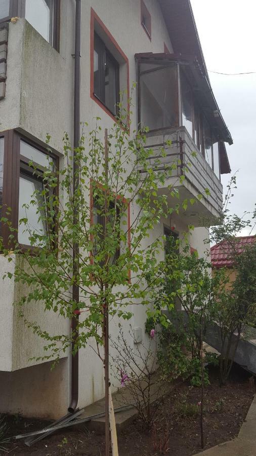Apartmán Casa Soarelui Roşu Exteriér fotografie